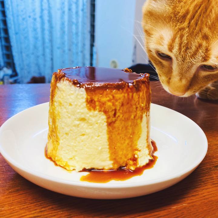 485c6ec2 efe3 44ec 8ff9 a0ae2b23a288 1588342894742