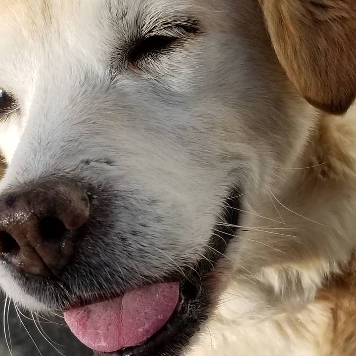 485c7380 f5f7 4fdb af3a ce7705958132 1647737402977