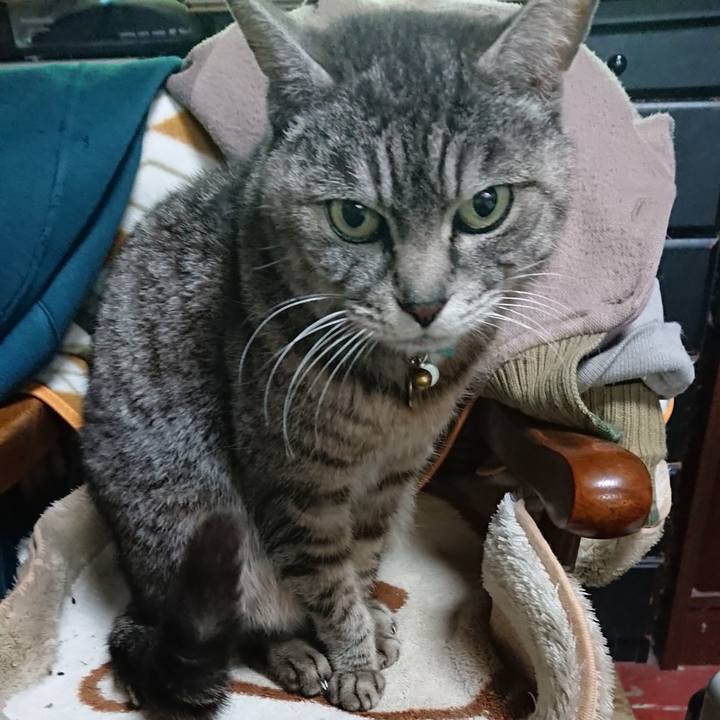 485c782f 6291 4f8e abd3 df3d70af35cb 1552006077663