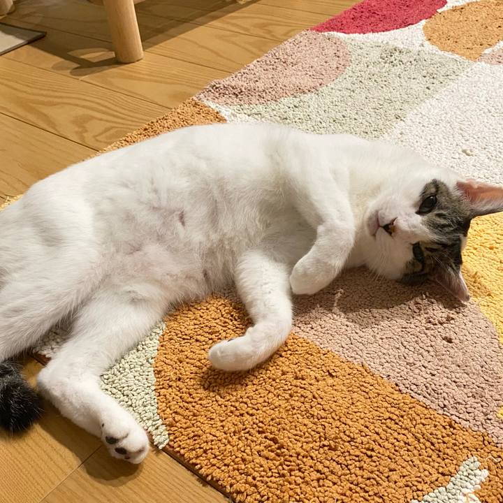 485c906f 6abe 4917 9b39 c5ffebcf7914 1663337548625