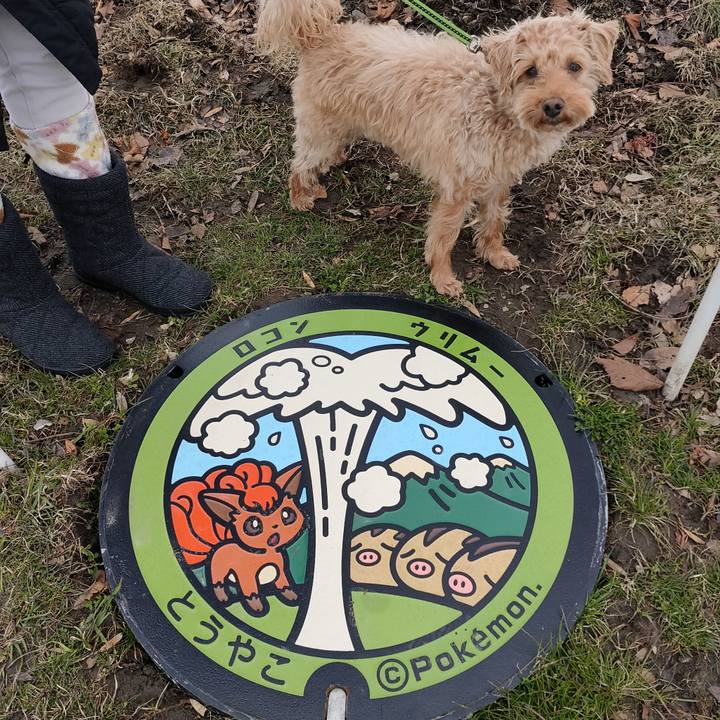 485cb467 5f0c 40e9 989e 97f82435c953 1583284204709