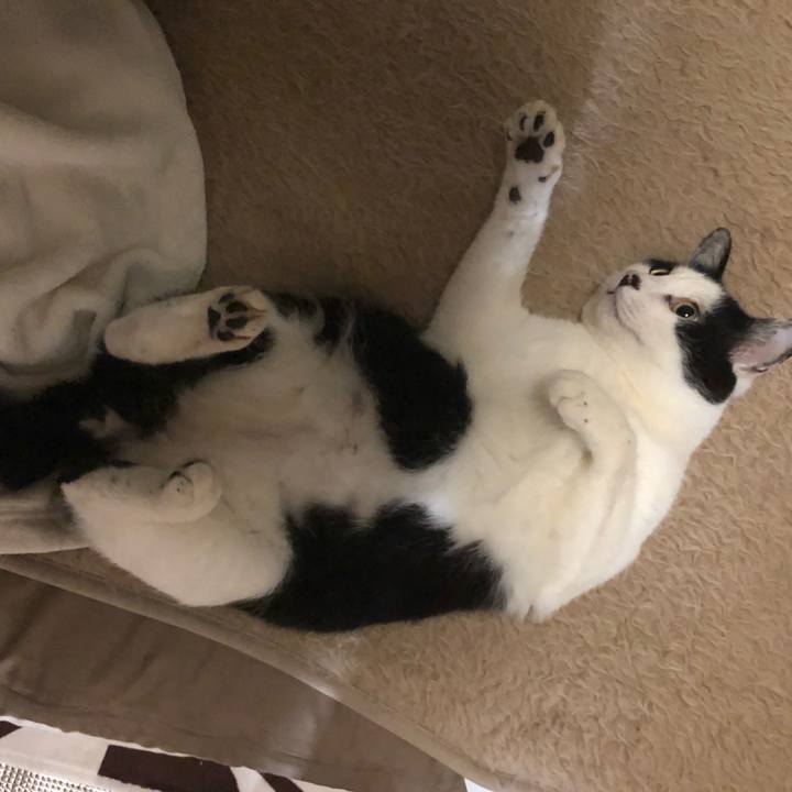 485cbc14 f5c7 4813 8026 f2553001e88d 1546848937381