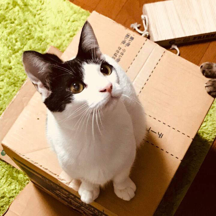 485cfb88 48a2 4f31 91b5 9beaadab157f 1512741198203