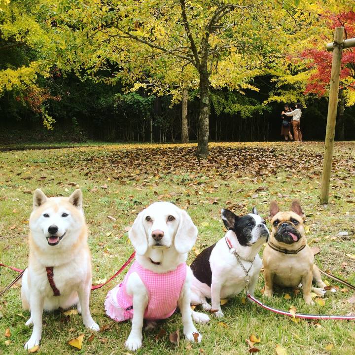 485d1f3e 1e90 481c 9fac dba6bb5e3f50 1763966409145