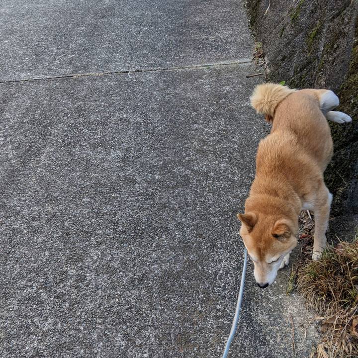 485d2d70 aacc 4552 8abe 2f66739e69ab 1672652671716