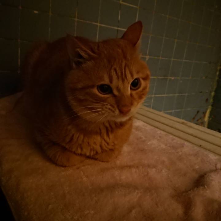 485d54c9 ade7 46dc abeb 1f97da9833b5 1640600938836