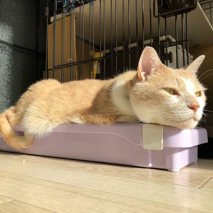 485d8bd9 94e3 4d14 8fde e635be01940f 1523832602595