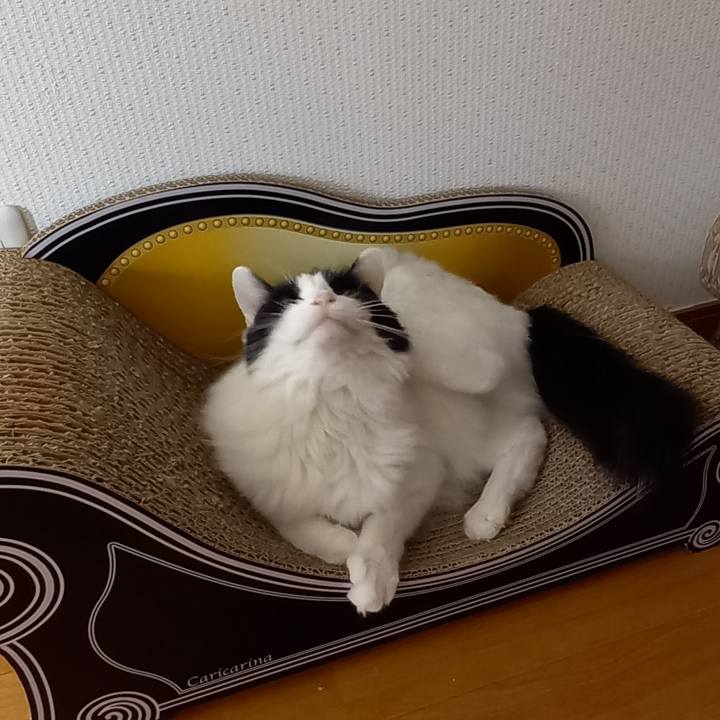 485d985a 4e51 4fb0 b499 6b5c923b64ed 1607211123229