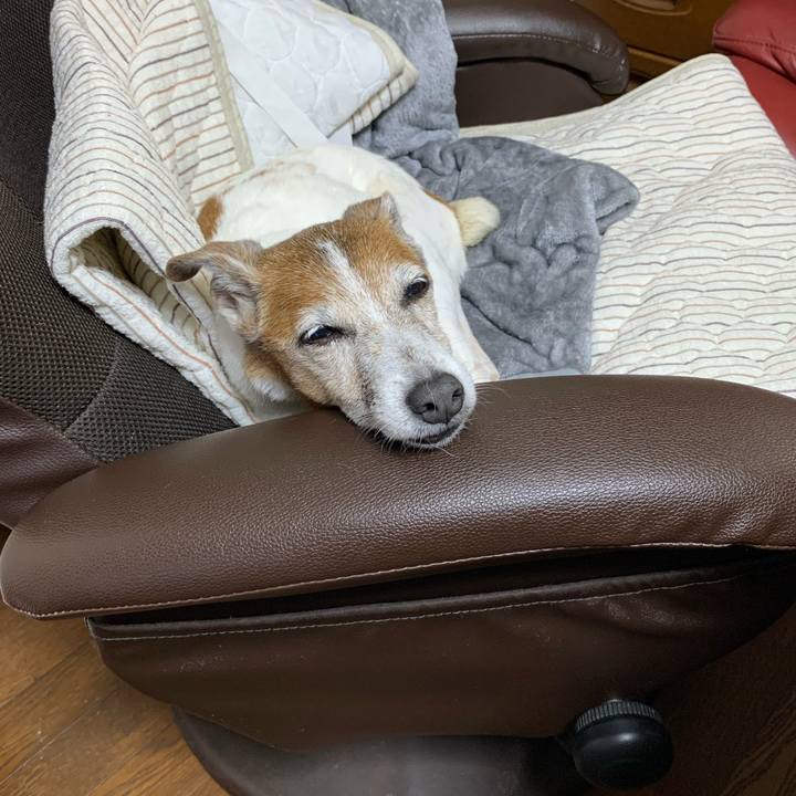 485dad7a d891 4a65 aeac e5849609c35b 1621856854442