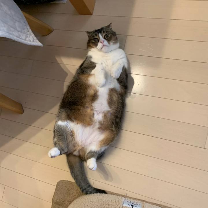 485dcc67 1a3c 4990 8abe f2f6badf9439 1610926821705