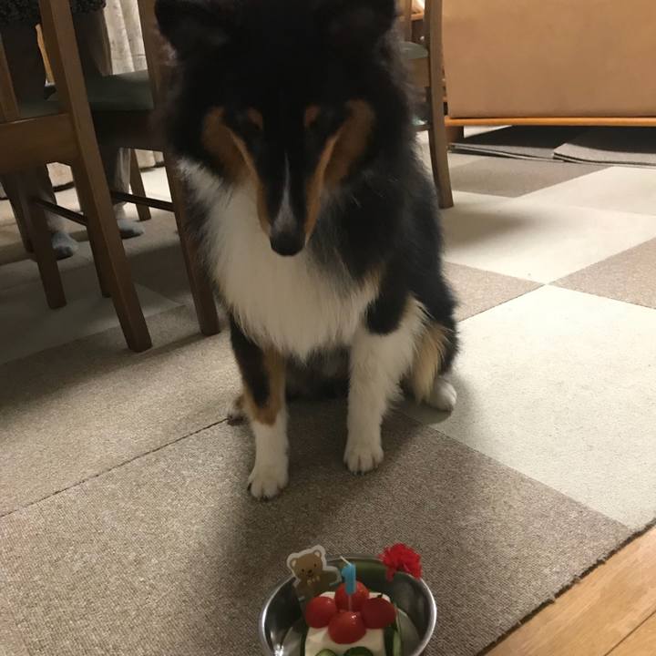 485e11a9 7f49 4327 a13e c36d6c01e9cf 1534456868343