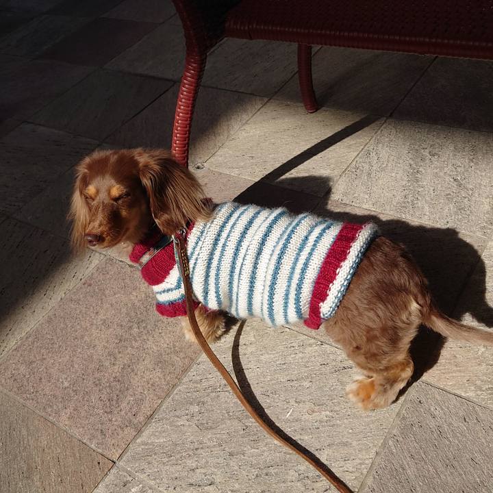 485e1763 40e4 4e62 a0b4 561d637258fb 1676171247275