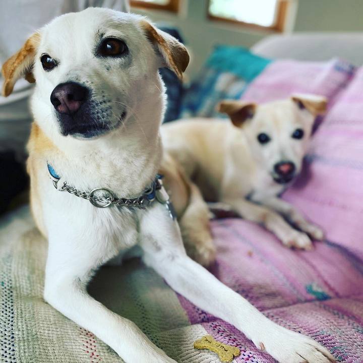 485e2766 0280 4be7 850e ae6aa8bb7bad 1631104033022