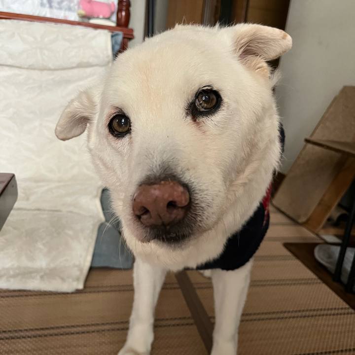 485e7029 a303 44c6 a533 f77cd33d01f2 1768697071388