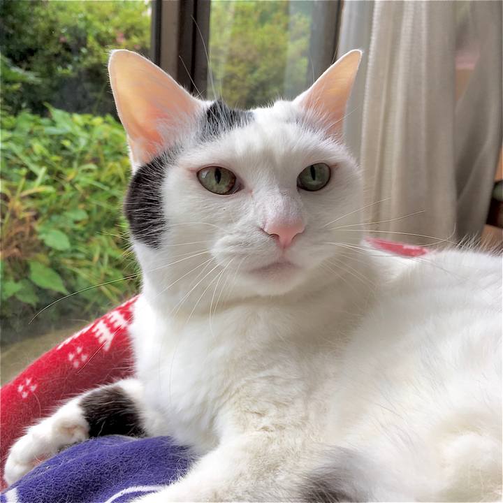 485e8bd6 e437 4426 ac9d 59fab45ff004 1595754628099