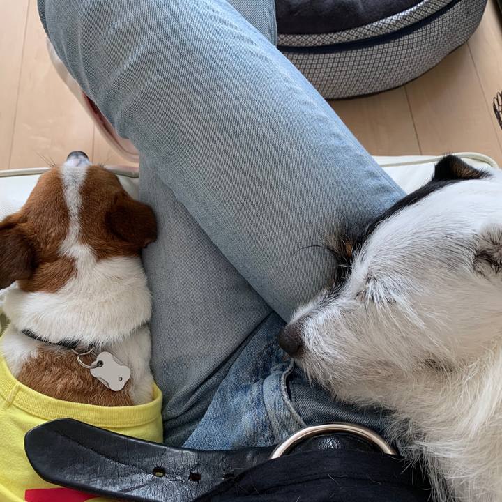 485eb912 d0fa 4603 961d 459902d53e58 1593057886502