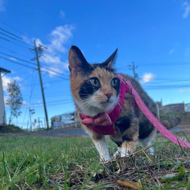 485ecab8 cc07 4984 9433 b0fbc12c4013 1668571648512