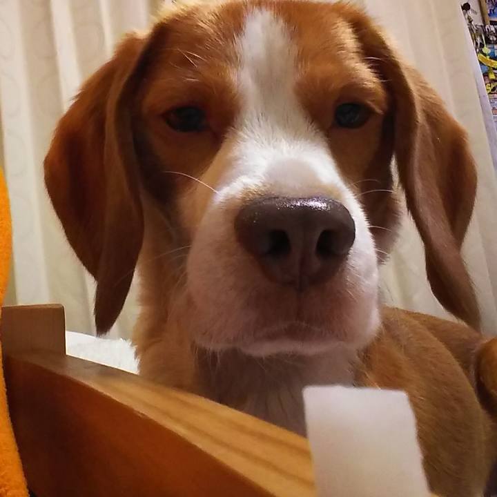 485ecd55 c4fc 4100 8991 7be54abf85f1 1547214008126