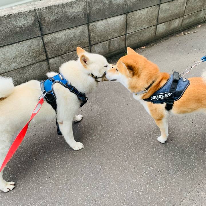 485f0841 0bb3 45e0 aad3 75cef80a712d 1623792342493