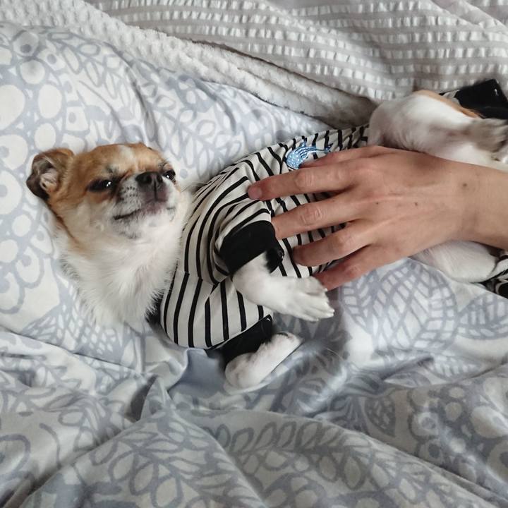 485f12b9 6f60 49cf 8dd1 712624b9842c 1610954962259