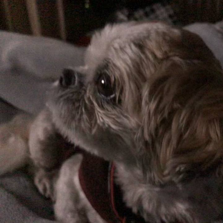 485f144c dc57 4589 83ab d61012555e73 1608587414959