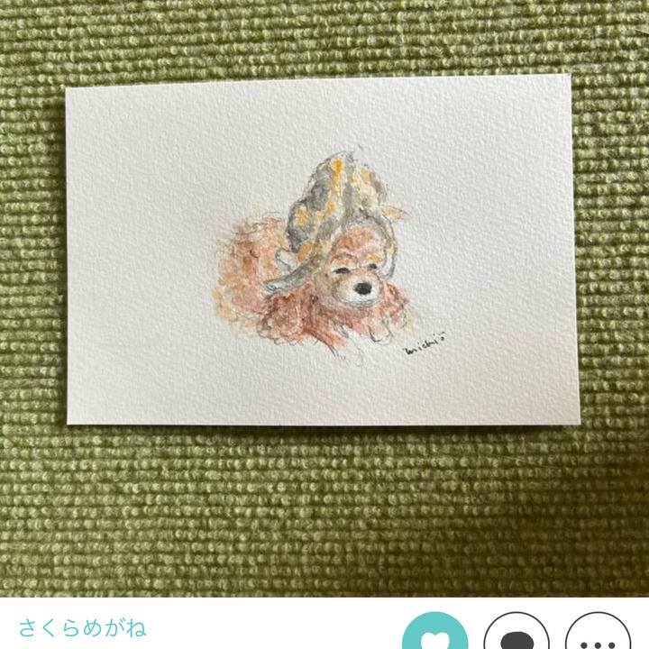 485f8702 93cb 4be3 8821 2804aab36744 1669157823728