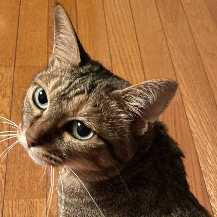 485f9681 9eb0 4c24 90d9 31e462813e9d 1657936104040