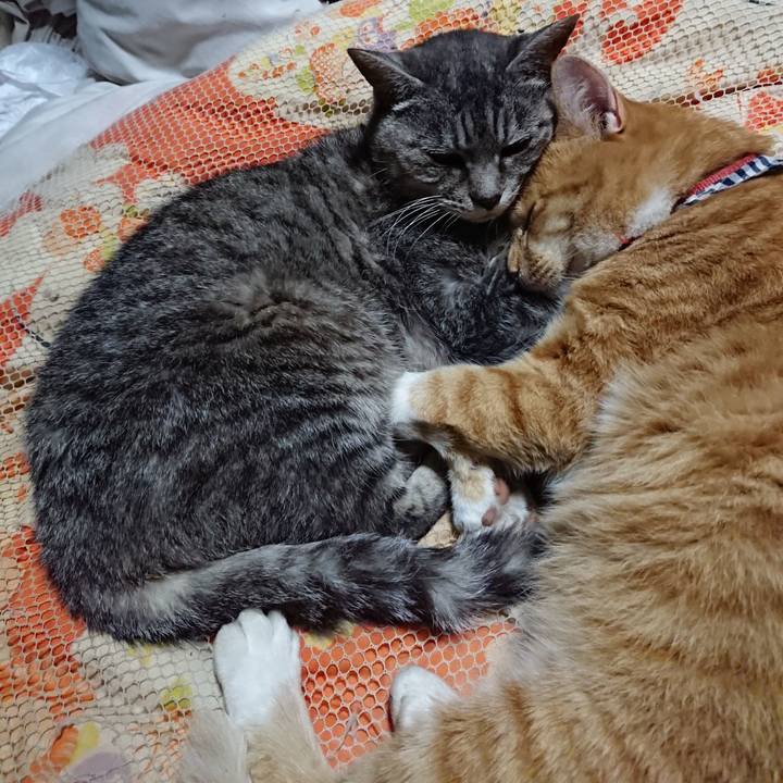 485faaa6 39ef 45ed 8a0f 86a1c5b6e4fa 1571661415961