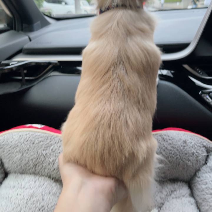 485fb219 c289 49ae a53d d30acafd7a11 1728202084269