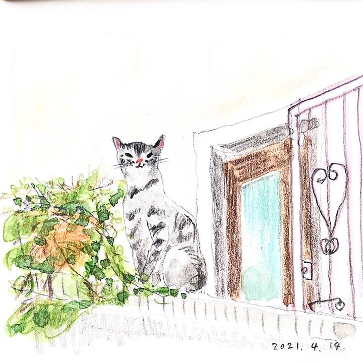 485fbd03 0f45 4572 8994 727eefcac5f8 1618363905853