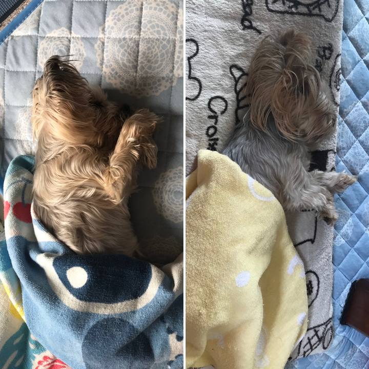 485fbd65 4462 4041 94fa 98bb058de1dd 1664788369119