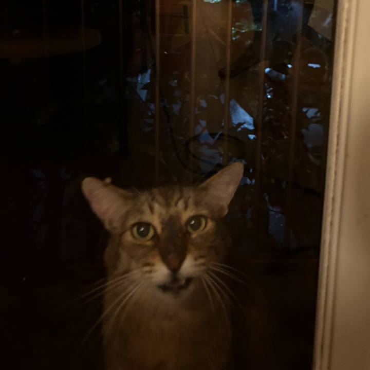 4860190f dd56 45ee af1a 226d20636ef9 1785582033407