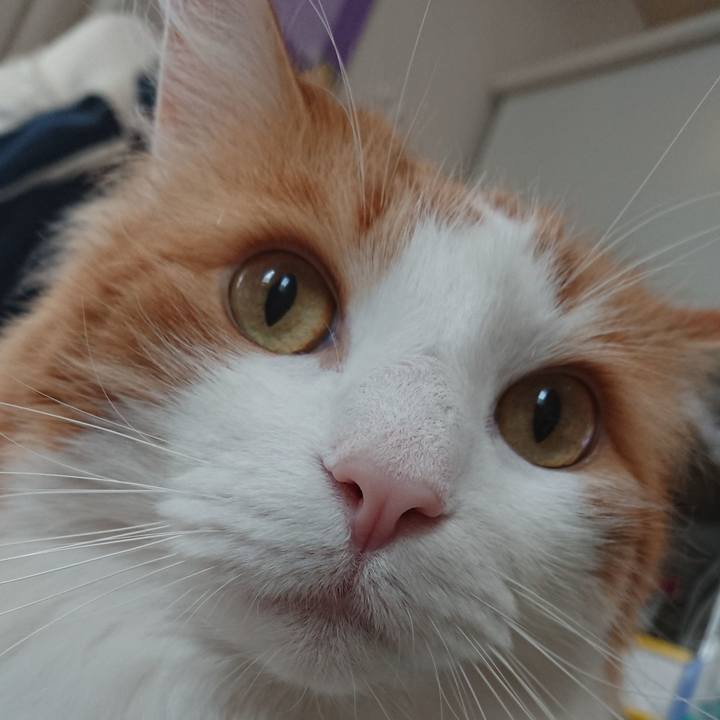 48604174 8586 498b 976a e56d6fb89bed 1559362474078