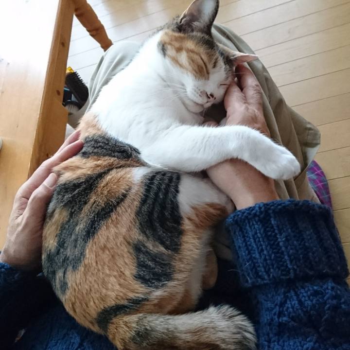 48605d08 4619 4f8a 8210 f50daebd402a 1546319998355