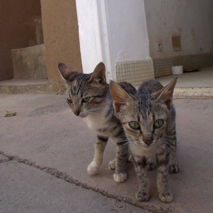 48605e4c 1657 4629 ba2c 120cb2284dbc 1519298686397