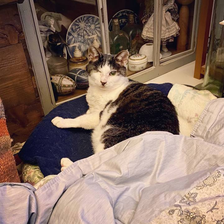 48606764 1738 4f04 baf0 b0edcc14d424 1613482777875