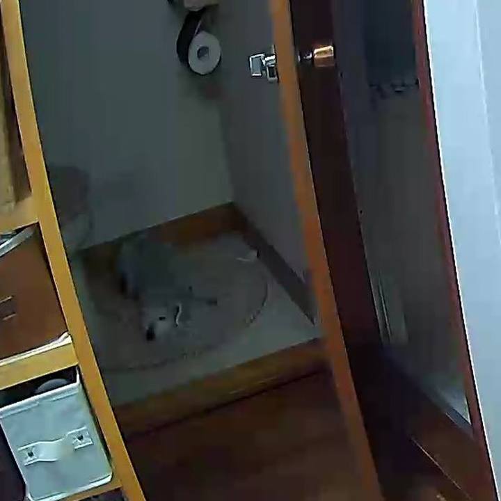 4860efcb 49fc 43c6 b59c 78316e085f8b 1647503117516