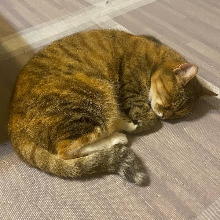 486114b2 7897 4156 a781 ea8f8f40bbfc 1623094306908