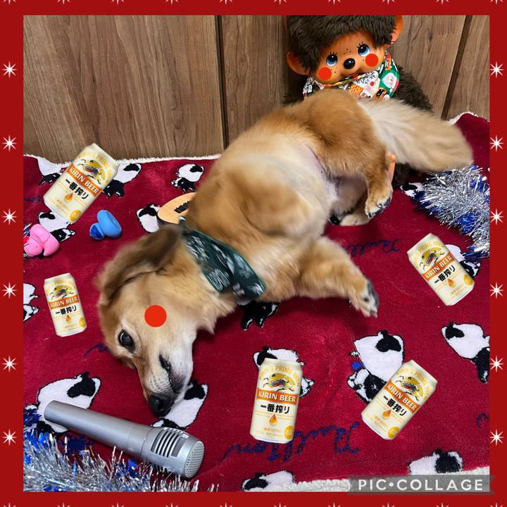 48612538 52ee 4f7d b34e e7379999a599 1639925623812