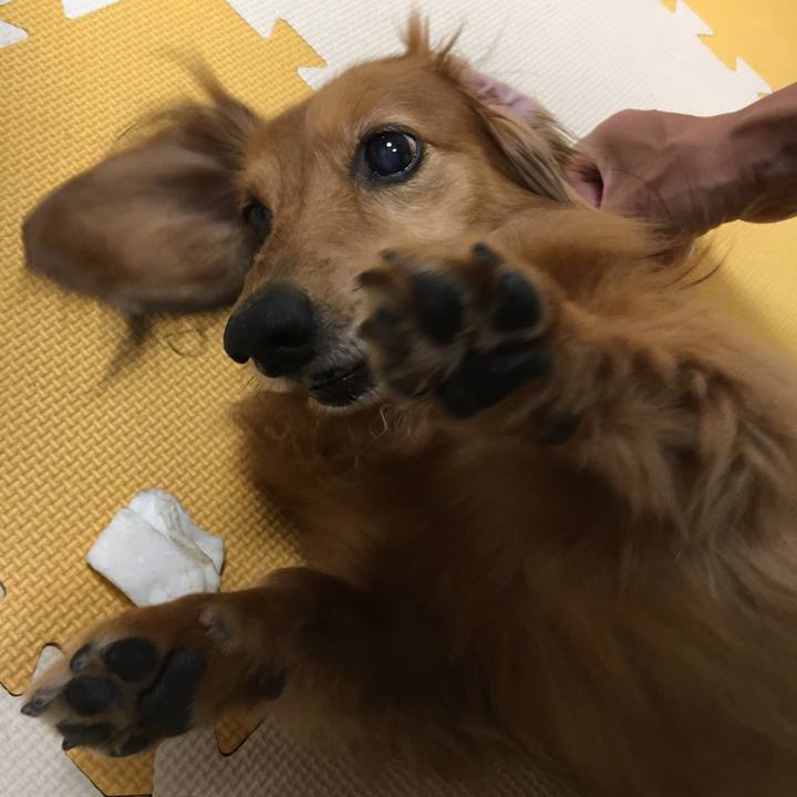 4861369b 9141 4890 b6ab 244b06a3fd66 1557380852237