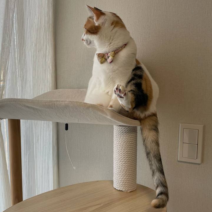 48616ebc 8418 42e7 9d6f 264b0d00d5b9 1638488185979