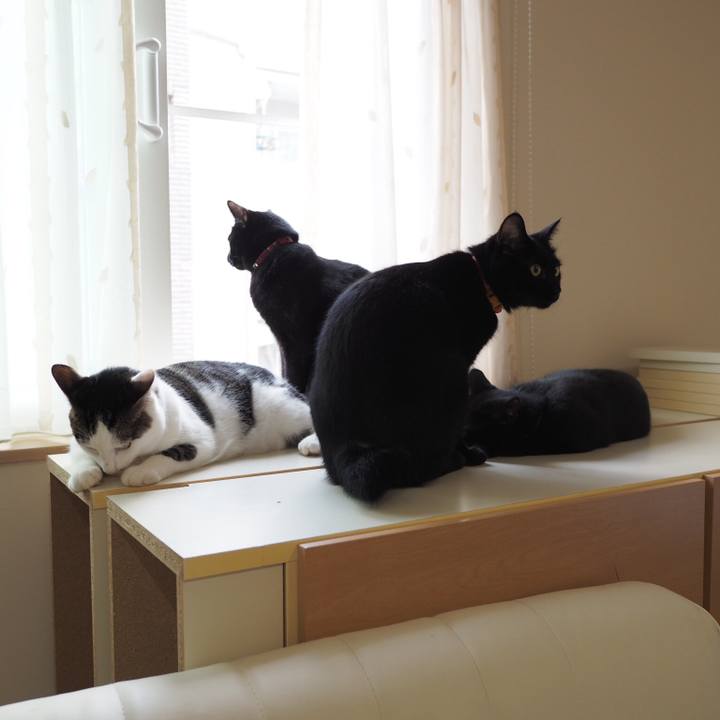 48617341 c6d1 4e84 a39e 16d5df7e2905 1536536103991