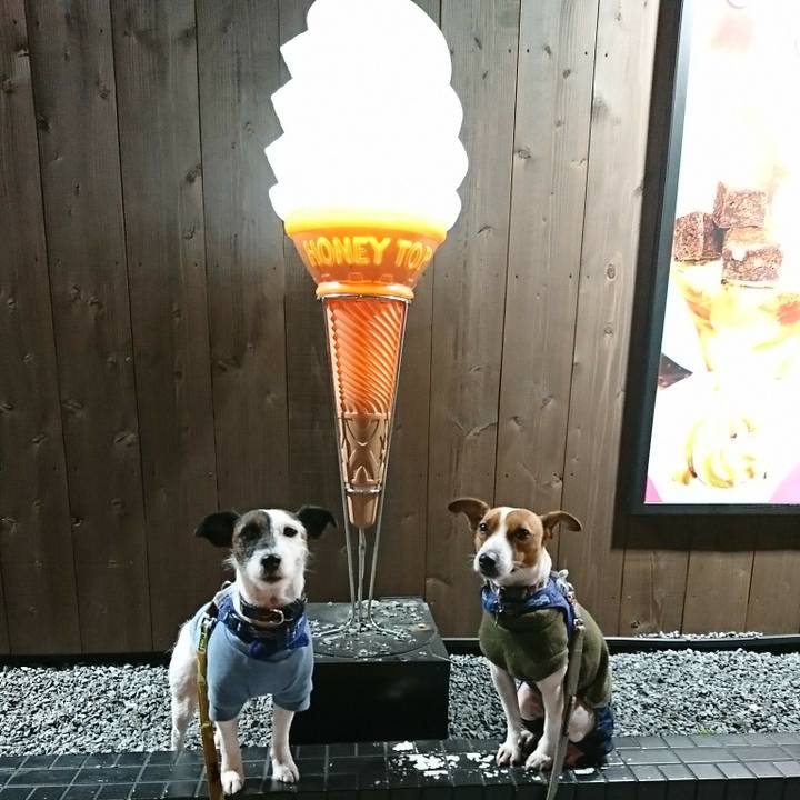 4861847e a678 491e ba21 b28cb0aceb5f 1546948131403