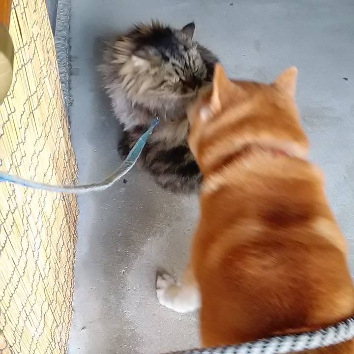 48618f8a 39cb 40c7 a235 7b160e569080 1644146218206