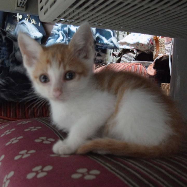 4861a032 fccc 4cc6 b459 b01561bd2943 1529898083247