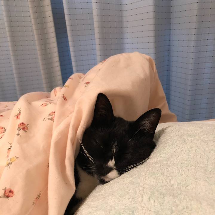 4861b837 53d1 48ad 877a 284a59cab6f2 1523829842502