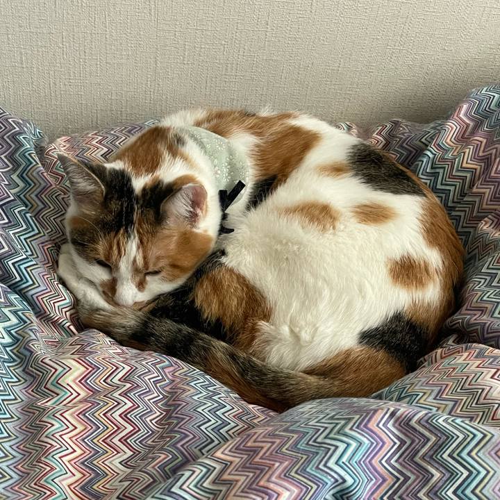 4861d2e4 a9a3 4cf8 b046 2937b1cbe83d 1668383272752