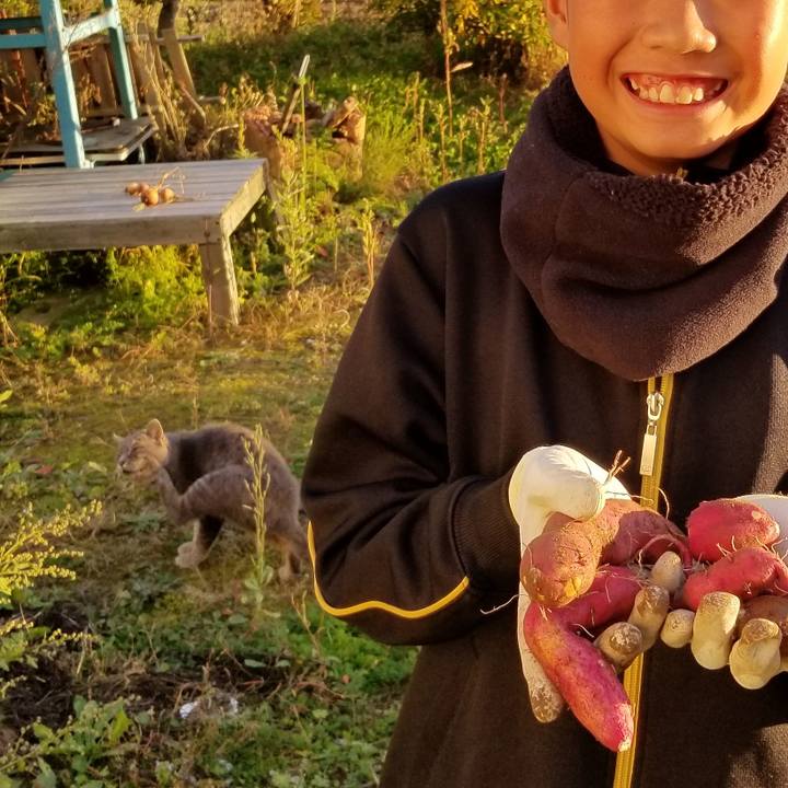 4861f299 9164 4ef2 ac60 7944216159ed 1539850661743