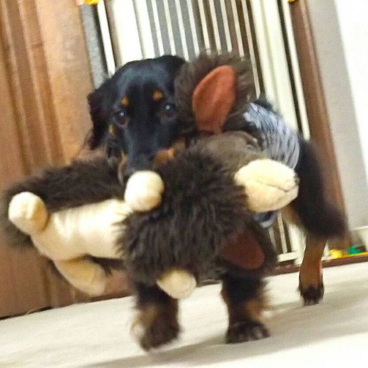 4862178e 7b69 4648 a31c 203c79129d2c 1510108014909