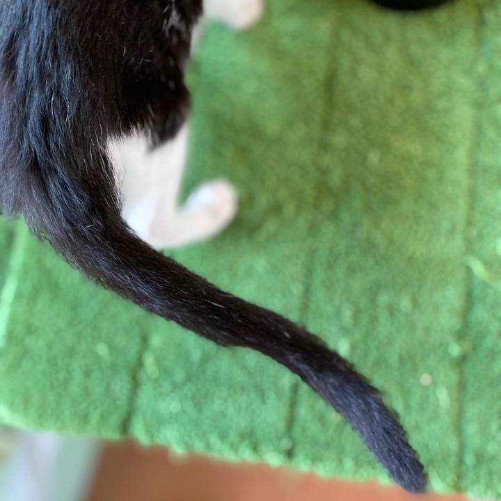 48625626 4137 4feb 8809 0e5beb2d8595 1627630966074